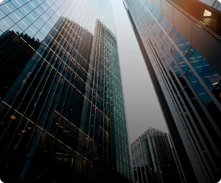 Family Offices & Wealth Managers